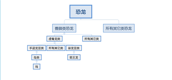 给鸡装上一条假尾巴 结果像霸王龙一样走路！到底啥关系 第5张