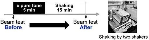 科学家找到了晕车克星 一分钟搞定 快来试试 晕车 第1张 科学家找到了晕车克星 一分钟搞定 快来试试 晕车 第1张