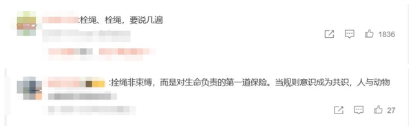 宠物狗未拴绳被碾压:主人失控捶打司机 宠物狗未拴绳被碾压 第1张 宠物狗未拴绳被碾压:主人失控捶打司机 宠物狗未拴绳被碾压 第1张