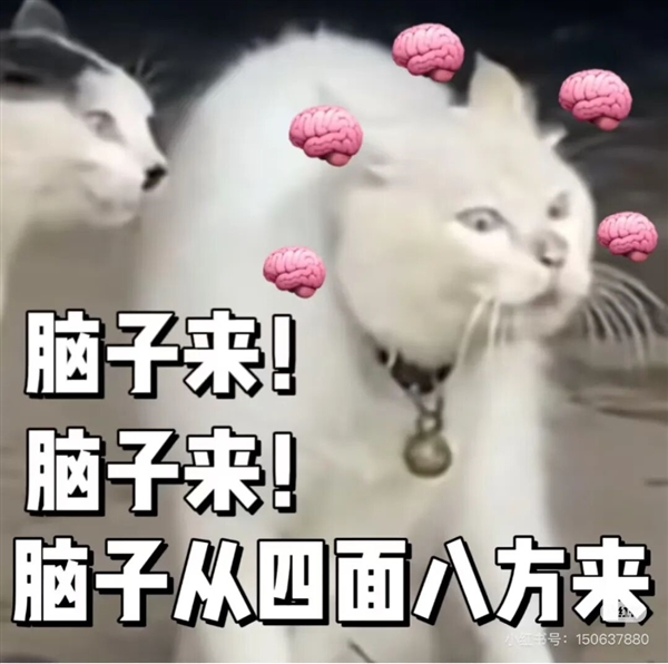 多吃鱼吧!“长脑子”最快的5个小妙招:有些0成本 多吃鱼 第4张 多吃鱼吧!“长脑子”最快的5个小妙招:有些0成本 多吃鱼 第4张