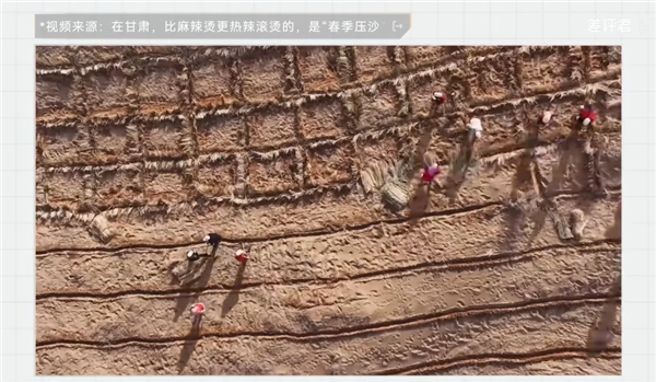 中国治沙47年 竟然不是为了消灭沙漠 治沙 第12张