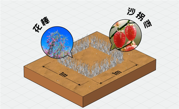 中国治沙47年 竟然不是为了消灭沙漠 治沙 第14张