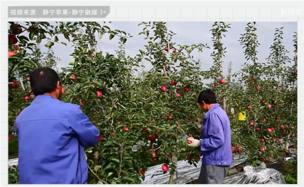 中国治沙47年 竟然不是为了消灭沙漠 治沙 第17张