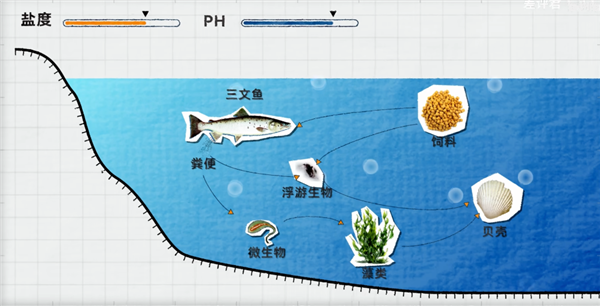 中国治沙47年 竟然不是为了消灭沙漠 治沙 第16张