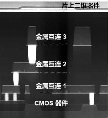 碾压传统闪存！我国研发全球首个二维-硅基混合架构闪存芯片 二维-硅基混合架构闪存芯片 第6张