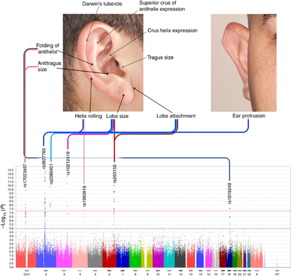 一个人能记住多少个人的脸 这个数字赌你猜不到 第2张 一个人能记住多少个人的脸 这个数字赌你猜不到 第2张