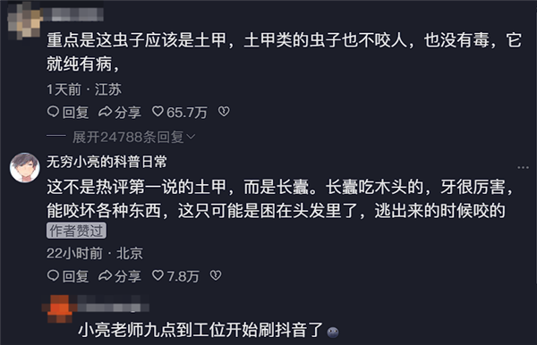 女子睡觉时被虫咬断一大把头发 专业人士科普揭秘“凶手”身份 第4张