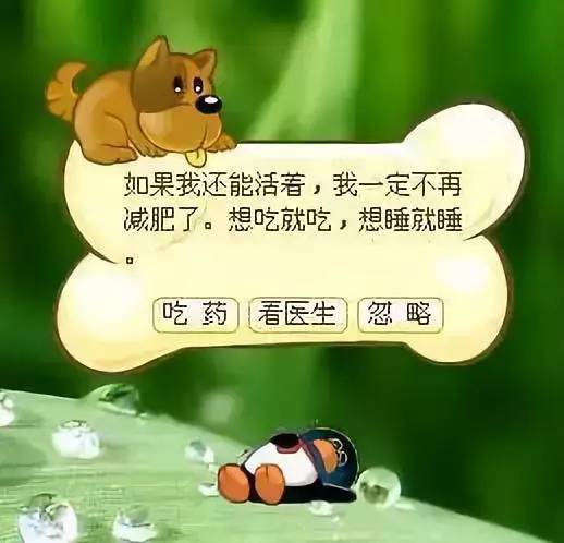 腾讯偷偷复活了QQ宠物 但它再也不会死了 QQ宠物 第8张