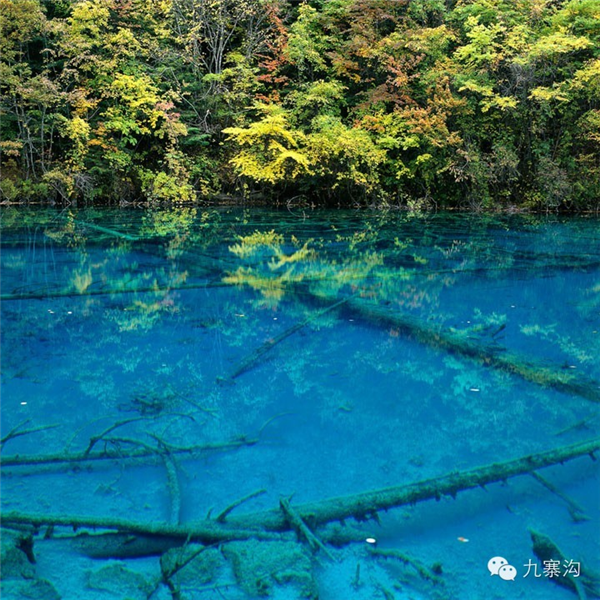 九寨沟景区详解湖水斑斓水色成因:自然形成、并非被污染 九寨沟景区详解湖水斑斓水色成因 第1张 九寨沟景区详解湖水斑斓水色成因:自然形成、并非被污染 九寨沟景区详解湖水斑斓水色成因 第1张