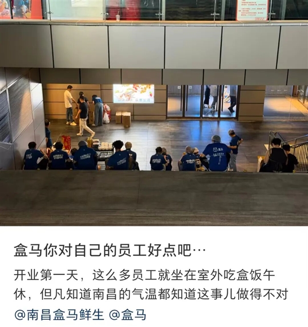 盒马被曝三伏天员工集体在店外扒盒饭:体感40℃ 官方称调整优化 盒马 第1张 盒马被曝三伏天员工集体在店外扒盒饭:体感40℃ 官方称调整优化 盒马 第1张