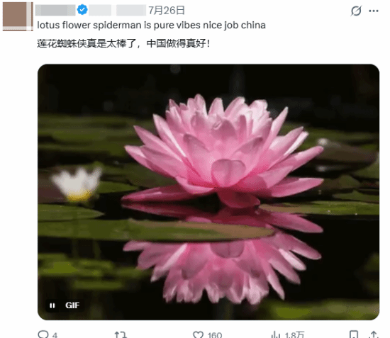 中国创新从未失手！《蜘蛛侠》中版海报质量太高获好评 蜘蛛侠 第4张