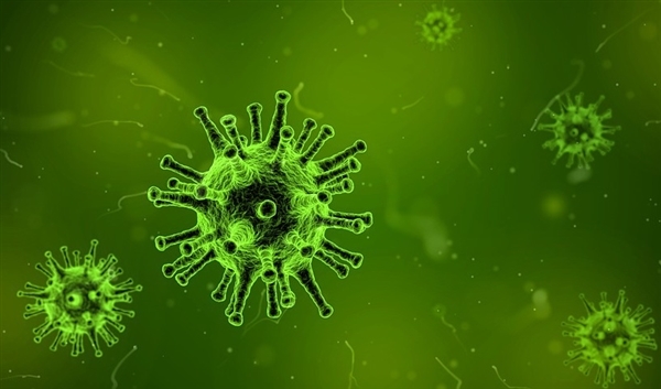美国科学家首次用AI设计出病毒：用于感染细菌 不会对人类构成威胁 AI设计出病毒 第1张
