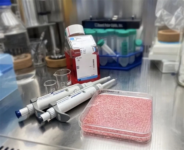 科学家首次种出带有肉味的菜：但你可能还尝不出来 带有肉味的菜 第5张