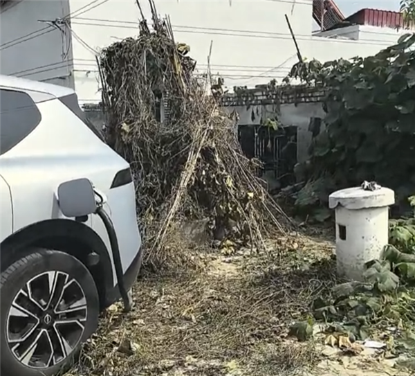 错过服务区下高速充电 导航到被杂草覆盖的“吉利服”充电桩！车主：怕着火只敢充20% 充电桩 第1张