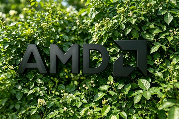 分析师向AMD开炮：应以叛国罪调查！ AMD 第3张