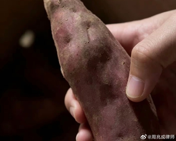涉嫌敲诈勒索！女子仅退款9斤蜜薯称有本事来拿：律师解读不能把“维权”当成白拿商品借口 涉嫌敲诈勒索 第1张